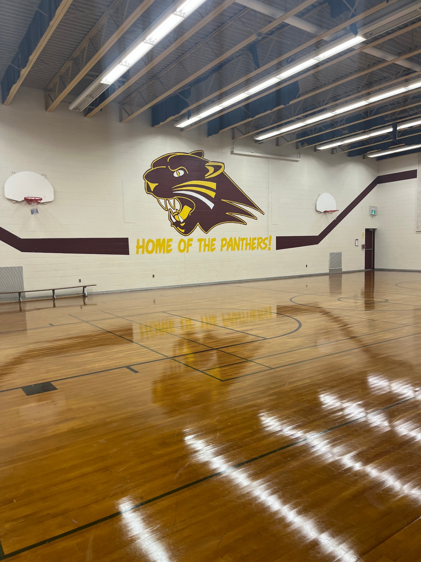 Home of the Panthers